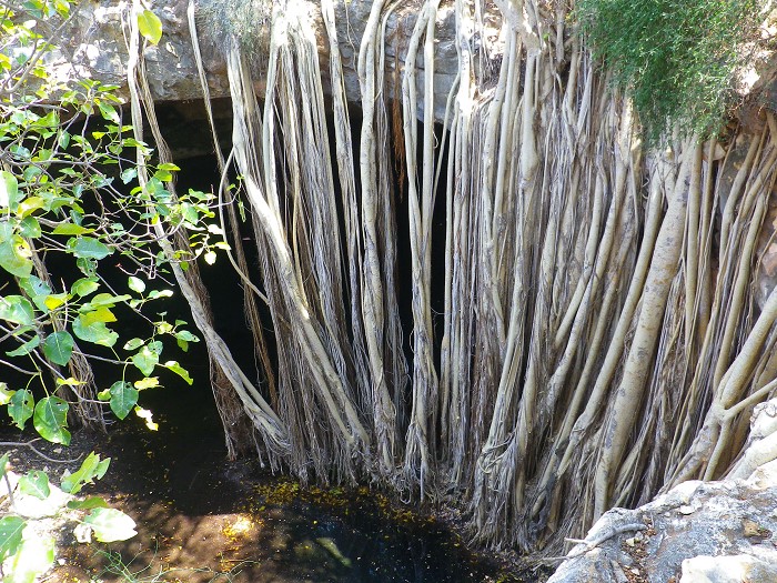 Grotte