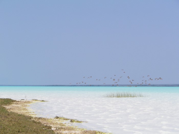 Lac salé